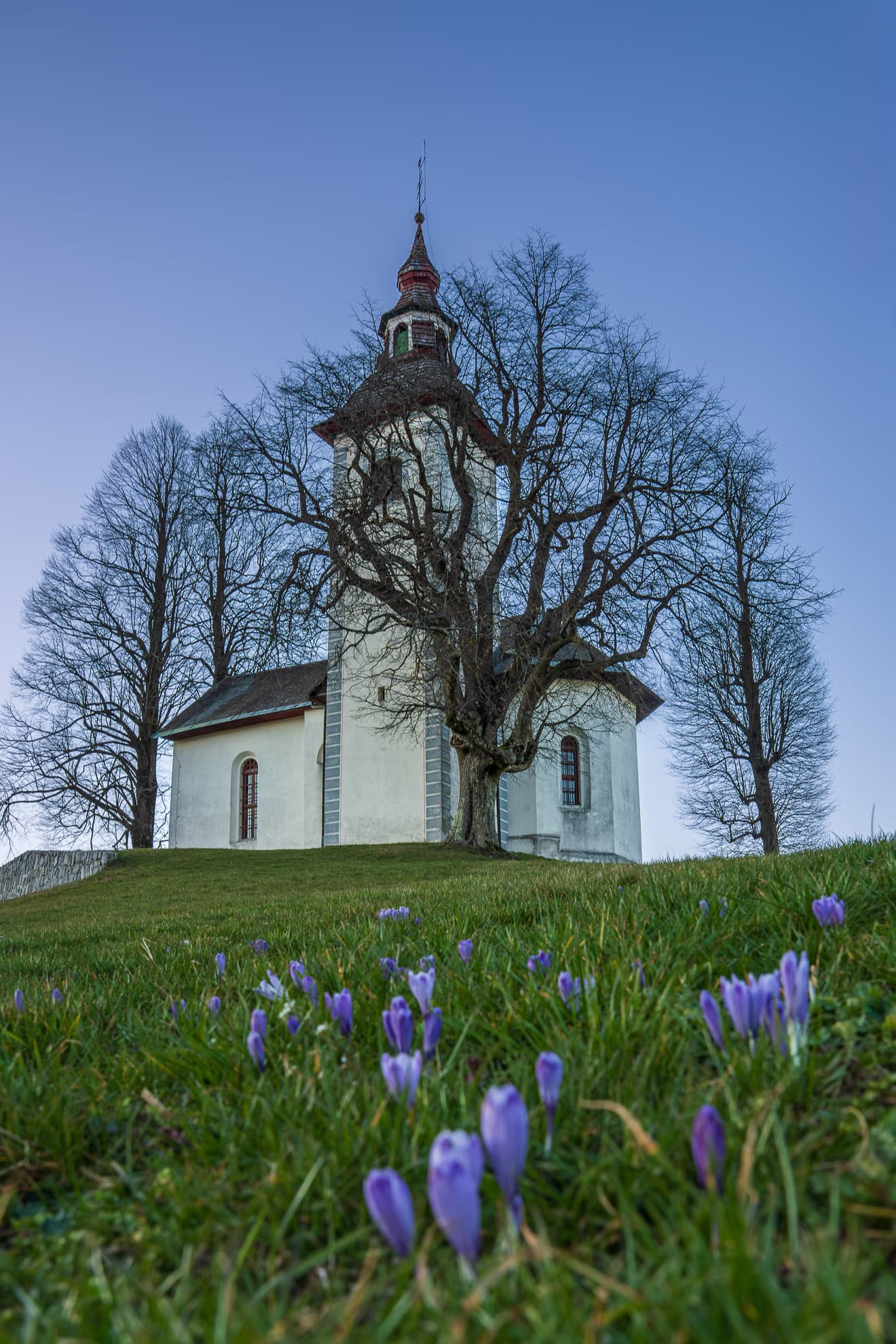 Frühlingsblüte mit Krokussen an der Kapelle