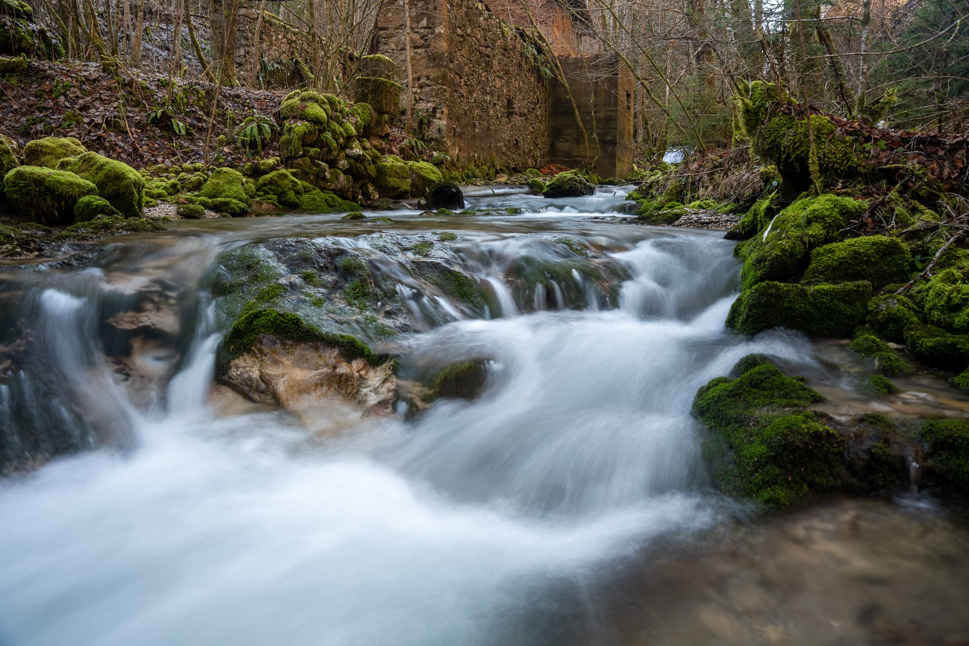 Wildbach mit moosbedeckten Steinen